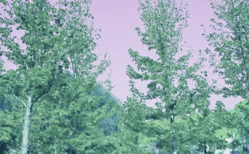 ��һ�ƴ�������15ƪ���ȣ�