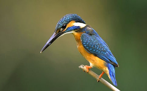 �����񡷵ڶ���ʱ��ѧ���֮һ