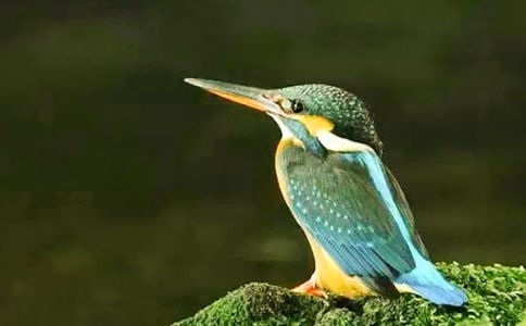 �����񡷽�ѧ���