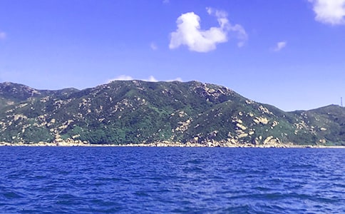 �ִ󺣵�����[����]