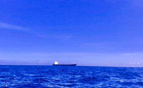 ����������(��ѡ15ƪ)