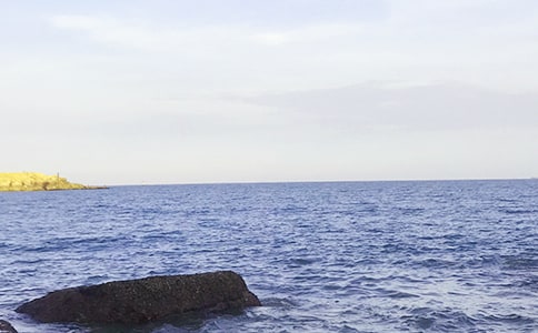 小学生我爱大海作文