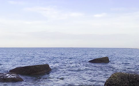 �����Ĵ�Сѧ����