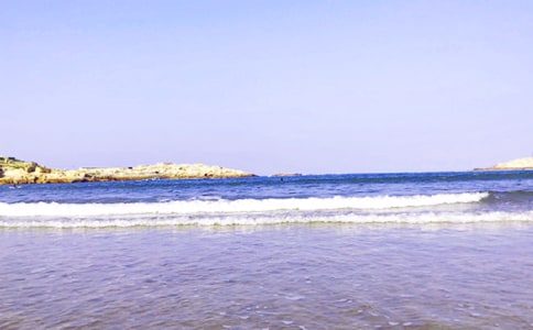 �泯������