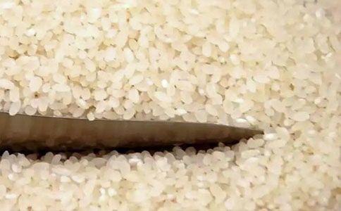 �����Ĵ���ι��С�ٿ�