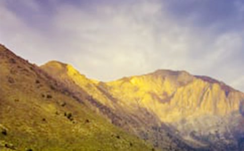 初冬的大山作文