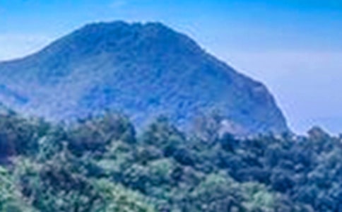 改变,让我翻越大山作文