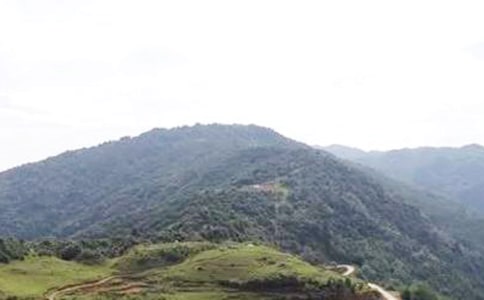 流淌在大山深处的歌谣的优美散文