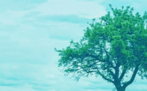 ��С��������ĶԻ�����ѧ��˼