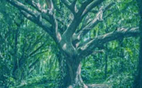 ������С��