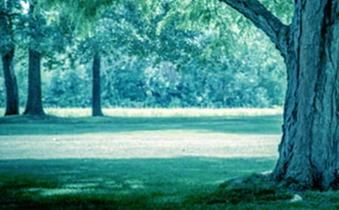 С�������̰���������С��