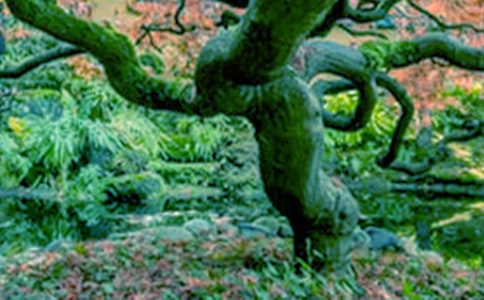 ���������ռ�