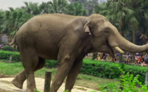 ����������ᡷ���������