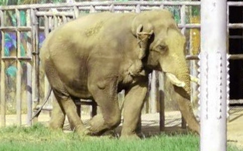 ���������������300��7ƪ