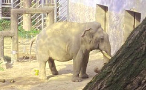 ���ڴ���ͯ�����Ļ���9ƪ