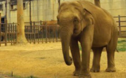 ����ͯ������(��ѡ15ƪ)