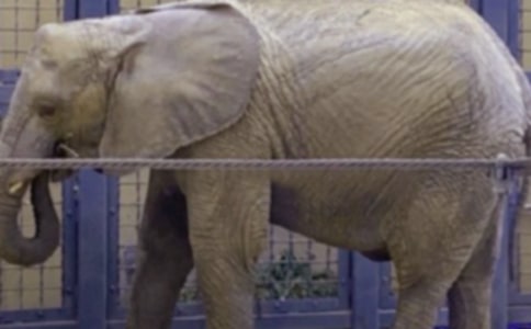 �������ص������̰�