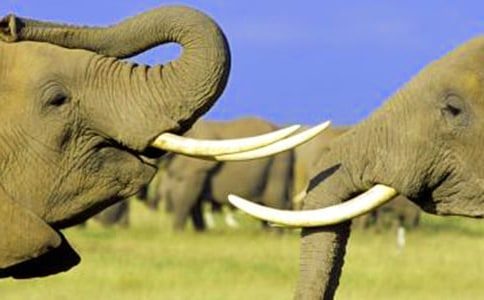 �������ص������̰���ѡ