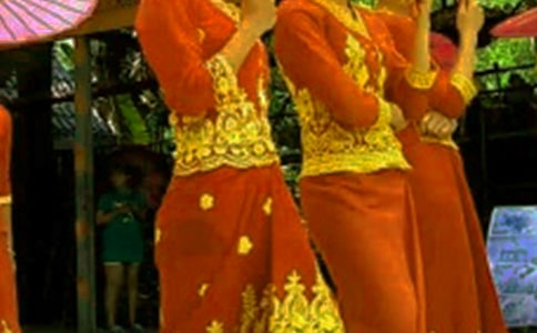 傣族的风俗习惯作文