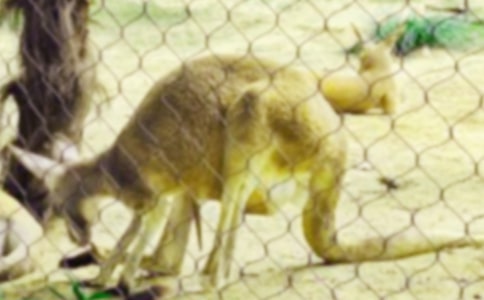 С�������ռ�����