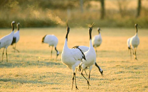 �����׵�����Сѧ������400��