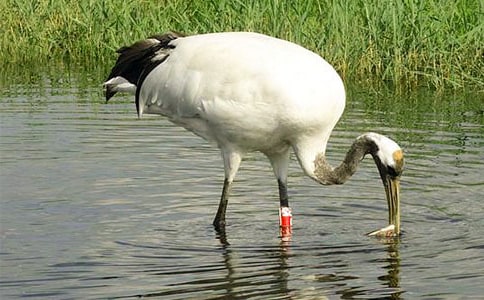 ��д�����׵����ķ���