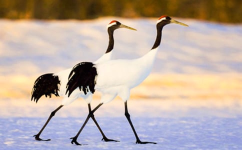 ����ѡ������������300��3ƪ