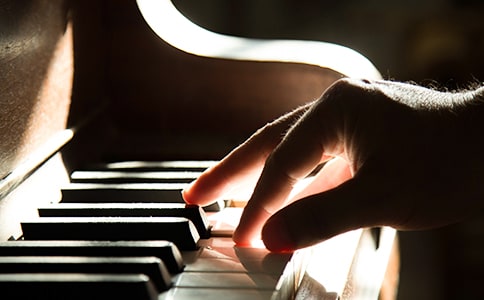 ��ţ��������