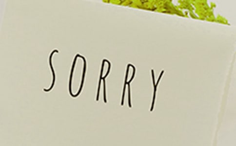 道歉的作文