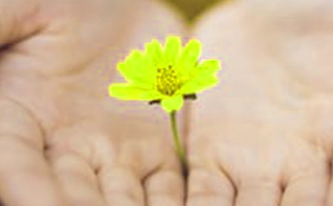 ��Ǹ˵˵����40�侫ѡ