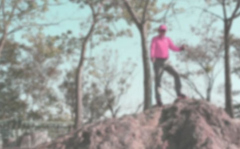 ���Ƽ��������ɽ�����15ƪ