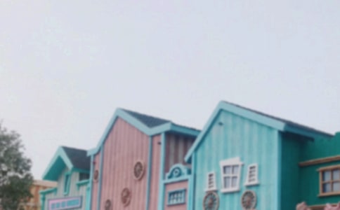 【精选】上海迪士尼游记作文三篇