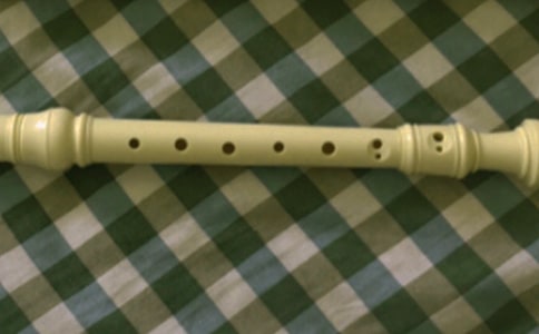 关于学笛子的小学生作文450字