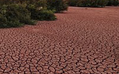 地球在呻吟作文8篇【实用】