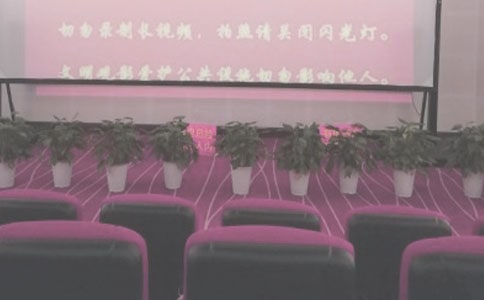 ��ӰԺ���չ����ܽ����(8ƪ)