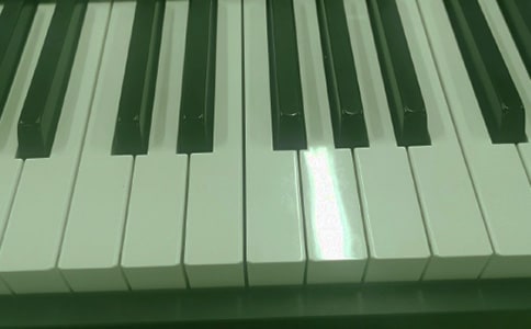 我爱我的电子琴作文