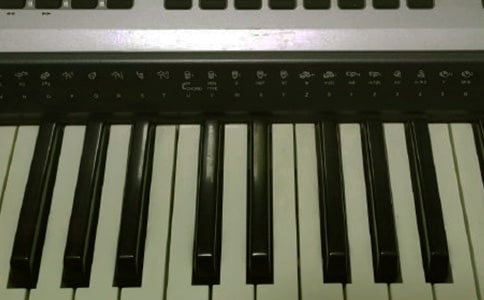 ѧ������������