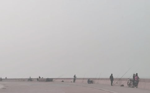 (精选)钓鱼优秀作文3篇