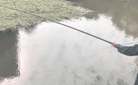 �����ϣ����������