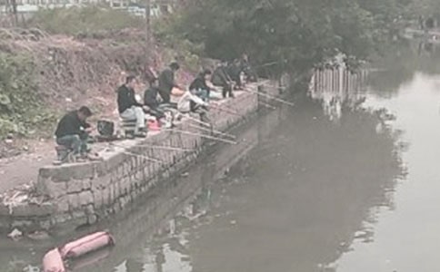 钓鱼优秀作文(精华)