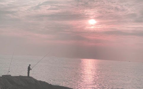 关于钓鱼优秀作文600字(通用36篇)