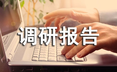 关于乡镇经济发展中存在的问题及对策调研报告范文