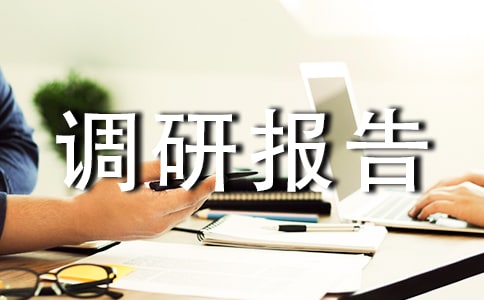 路政治超调研报告