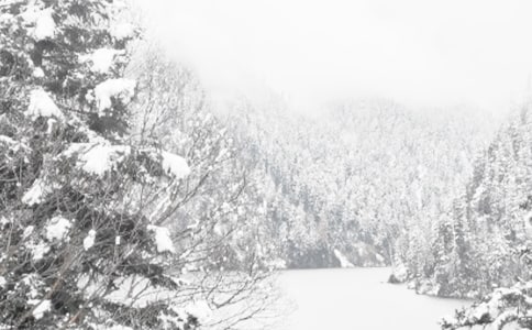 ���ر�������ɨѩ��