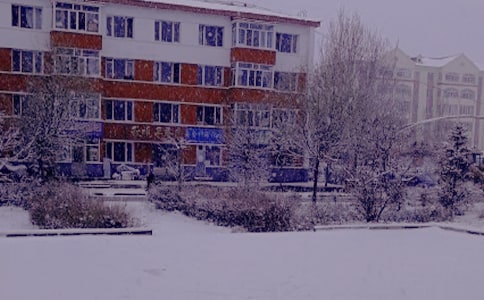 冬日阳光话题作文