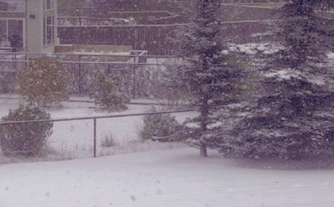 冬日日记范文合集5篇