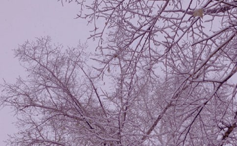 ����ů����������