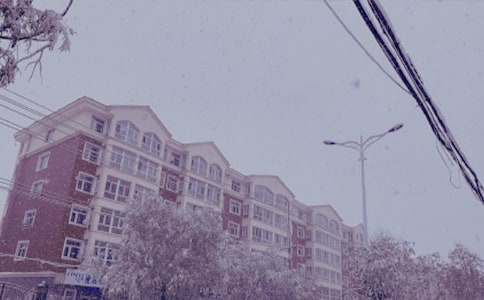 沐浴在冬日的暖阳里的散文