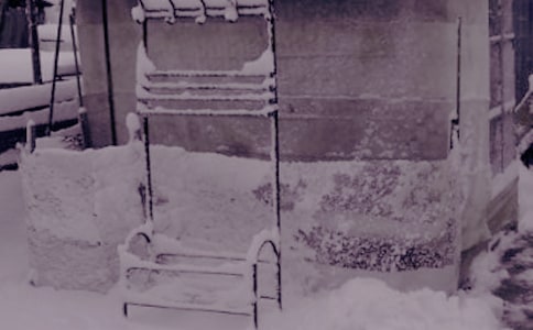 ���ձ���������