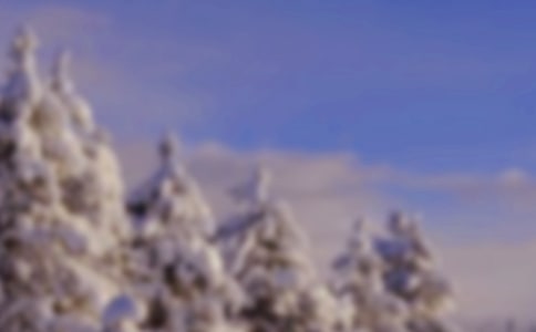 �������ݶ���ľ��ӻ��34��